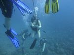 Hawaii Scuba divng 22