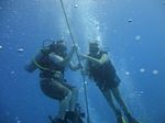 Hawaii Scuba divng 23