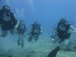 Hawaii Scuba divng 42