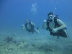 Hawaii Scuba divng 43