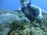 Hawaii Scuba divng 44