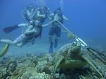 Hawaii Scuba divng 07