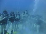 Hawaii Scuba divng 09