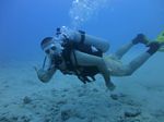 Hawaii Scuba divng 13