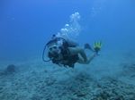 Hawaii Scuba divng 14