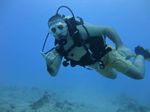 Hawaii Scuba divng 27