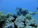 Hawaii Scuba divng 29