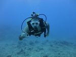 Hawaii Scuba divng 30