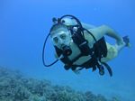 Hawaii Scuba divng 34