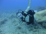 Hawaii Scuba divng 35