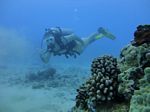 Hawaii Scuba divng 36