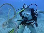 Hawaii Scuba divng 44