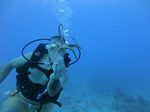 Hawaii Scuba divng 45