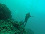 Hawaii Scuba divng 11