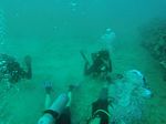 Hawaii Scuba divng 24