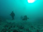 Hawaii Scuba divng 31