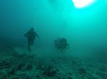 Hawaii Scuba divng 33