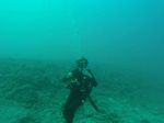 Hawaii Scuba divng 39