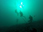 Hawaii Scuba divng 41