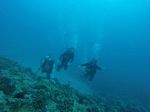 Hawaii Scuba divng 04