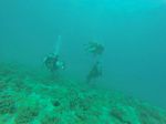 Hawaii Scuba divng 53