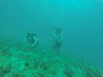 Hawaii Scuba divng 56