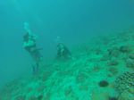 Hawaii Scuba divng 56