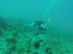 Hawaii Scuba divng 57