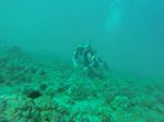 Hawaii Scuba divng 59