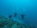 Hawaii Scuba divng 05