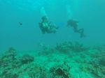 Hawaii Scuba divng 66