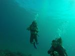 Hawaii Scuba divng 68