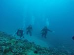 Hawaii Scuba divng 06