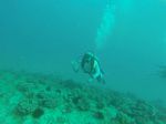 Hawaii Scuba divng 70