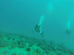 Hawaii Scuba divng 71