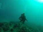 Hawaii Scuba divng 73