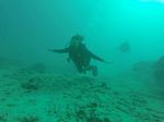 Hawaii Scuba divng 78