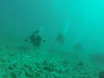 Hawaii Scuba divng 82