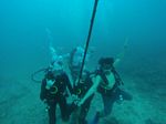 Hawaii Scuba divng 88