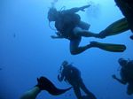 Hawaii Scuba divng 11