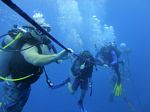 Hawaii Scuba divng 14