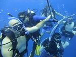 Hawaii Scuba divng 17