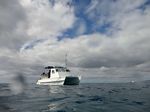 Hawaii Scuba divng 19