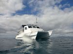 Hawaii Scuba divng 20