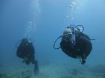 Hawaii Scuba divng 29