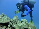 Hawaii Scuba divng 30