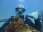 Hawaii Scuba divng 36