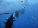 Hawaii Scuba divng 03