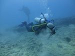 Hawaii Scuba divng 49