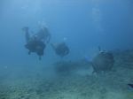 Hawaii Scuba divng 51